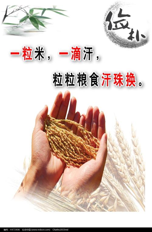 汉堡物流与企业管理技术大学证书办理